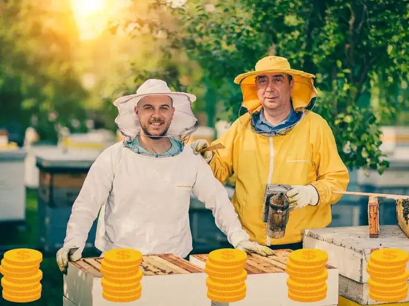 Ile można zarobić na miodzie? Realna analiza zysków z własnej pasieki