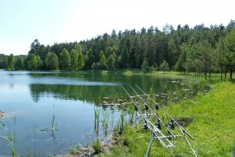 Cennik łowiska Całowanie: Sprawdź, ile zapłacisz za wędkowanie