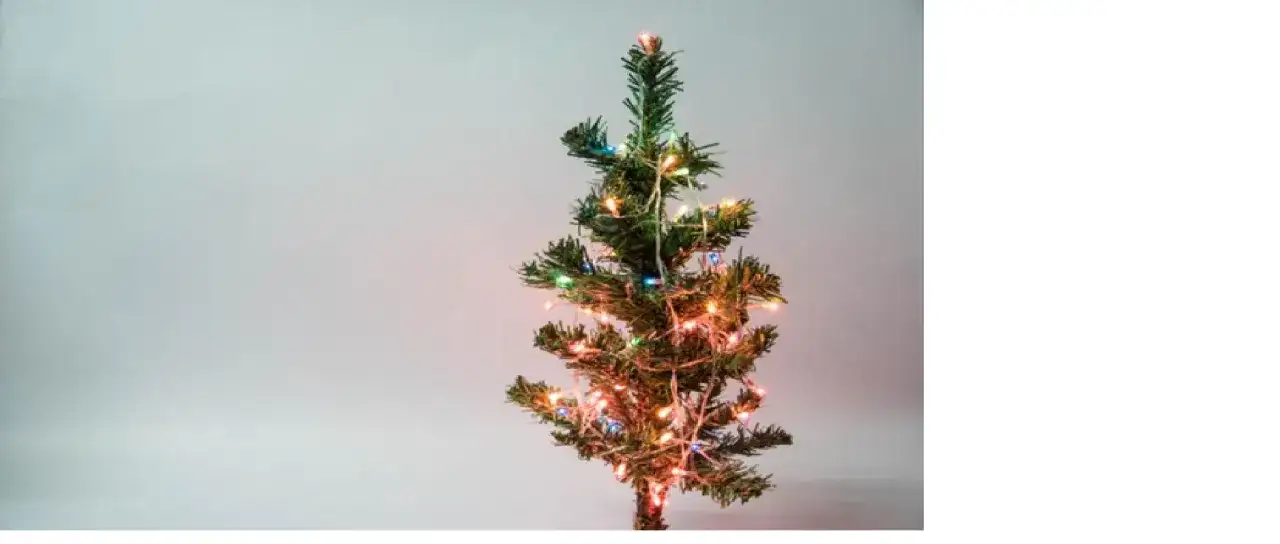 Gdzie wyrzucić sztuczną choinkę? Sprawdź najlepsze opcje utylizacji