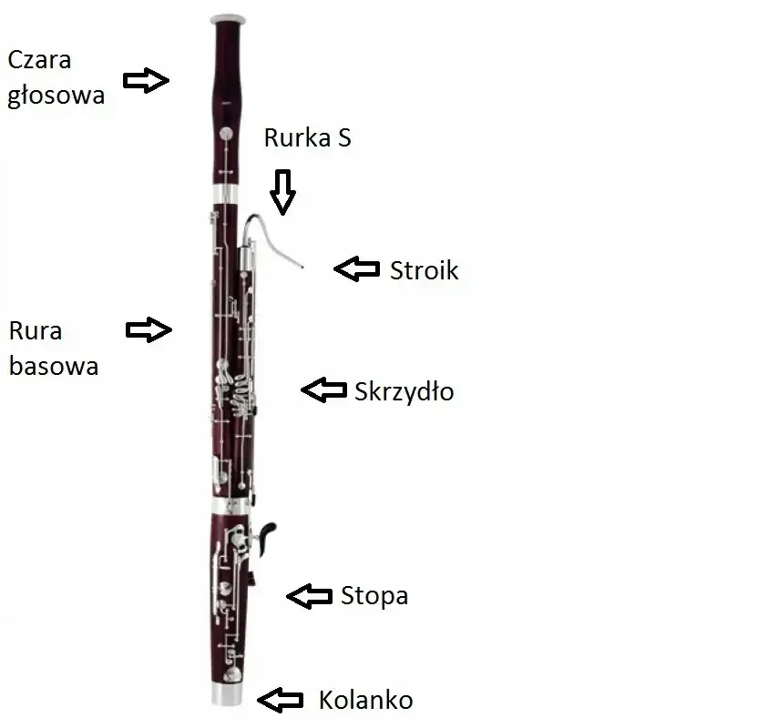 Fagot - instrument orkiestralny, historia, budowa, cena, nauka gry