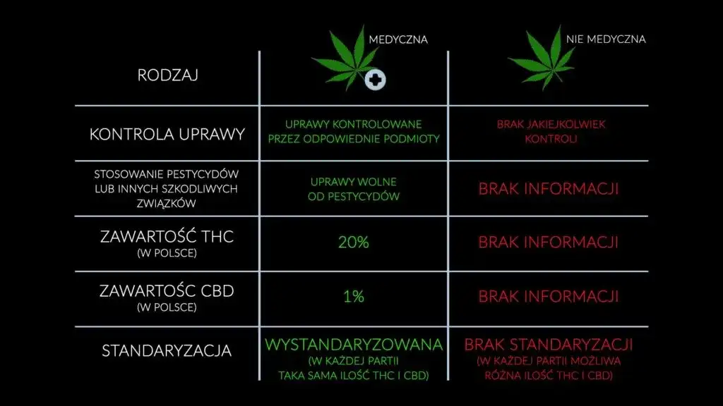 Medyczna marihuana z THC: Jak działa, ile go jest, czy uzależnia?