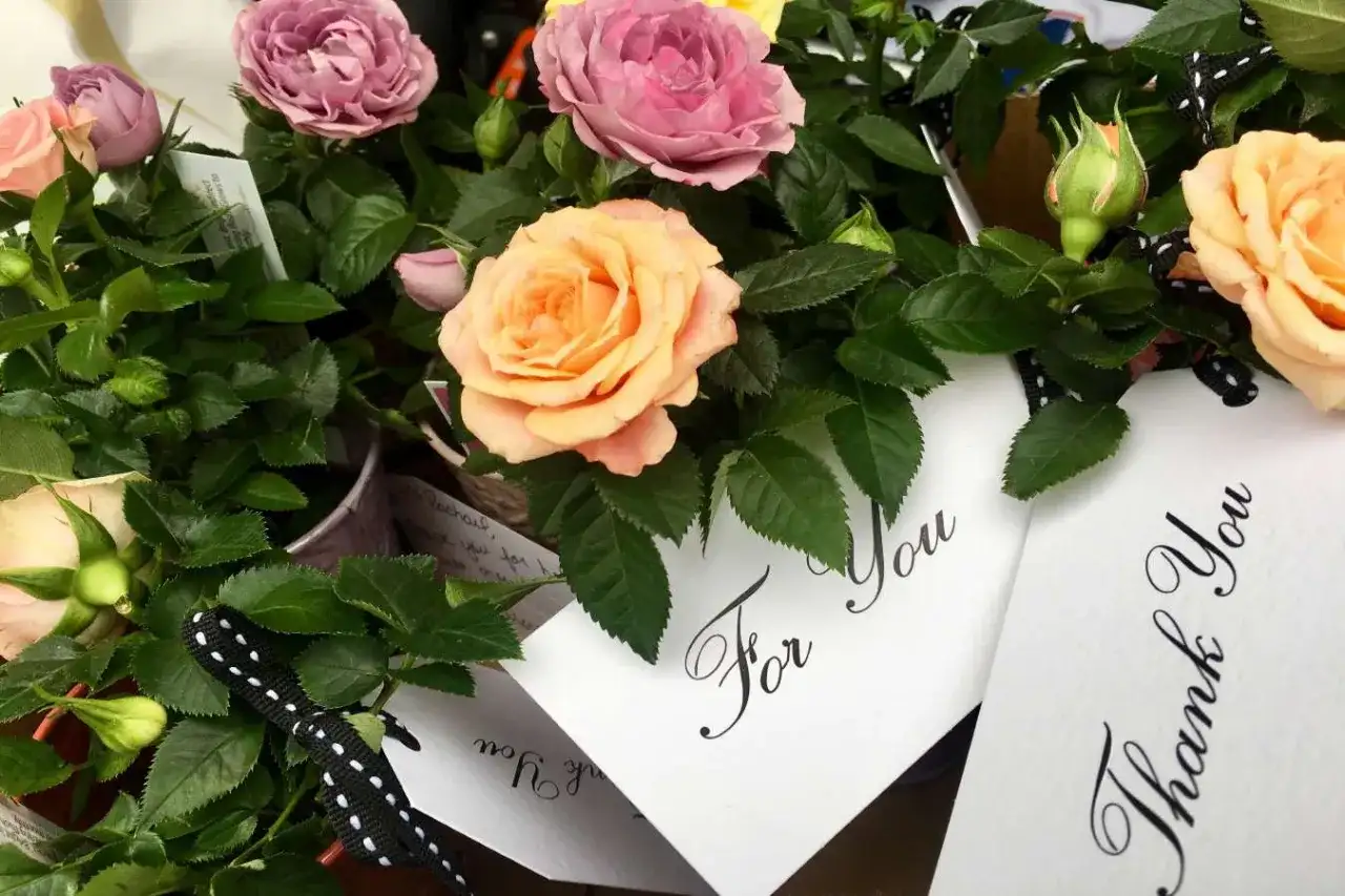 Róże w pastelowych kolorach, z kartkami "For You" i "Thank You" – piękne podziękowania dla wychowawcy od rodziców.