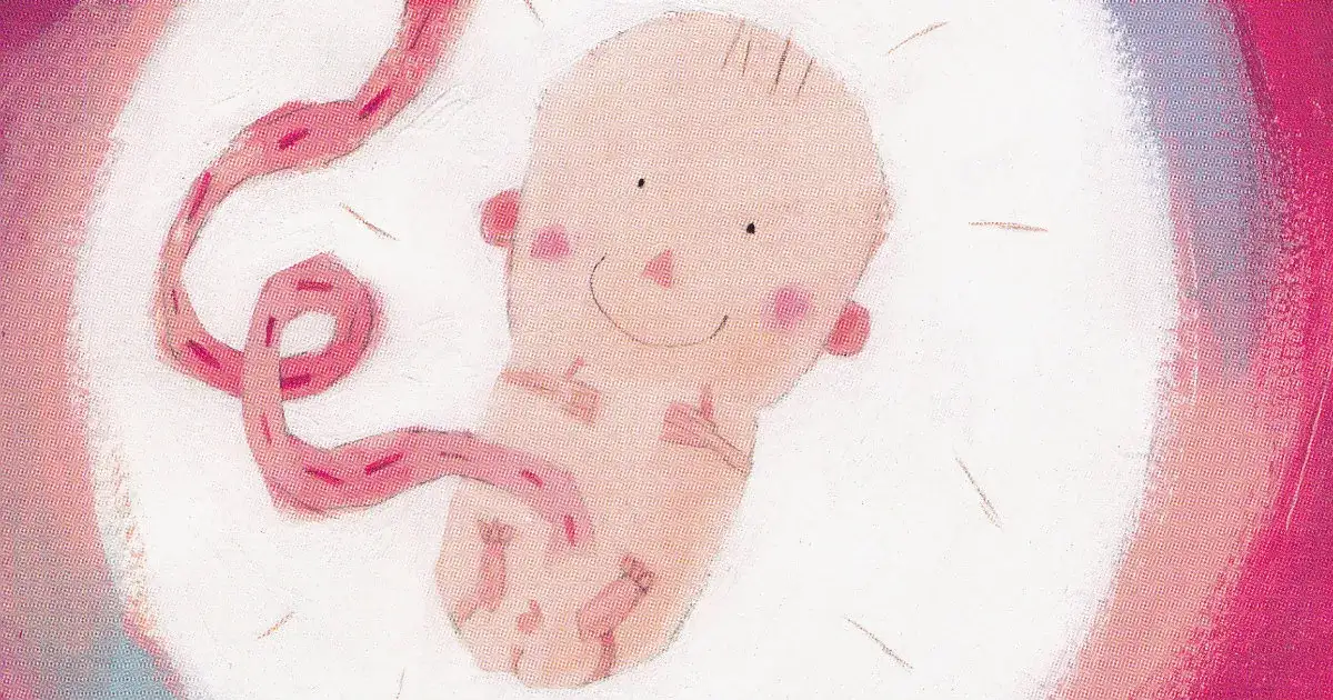 Skąd się wziąłem film edukacyjny – jak tłumaczyć dzieciom pochodzenie?