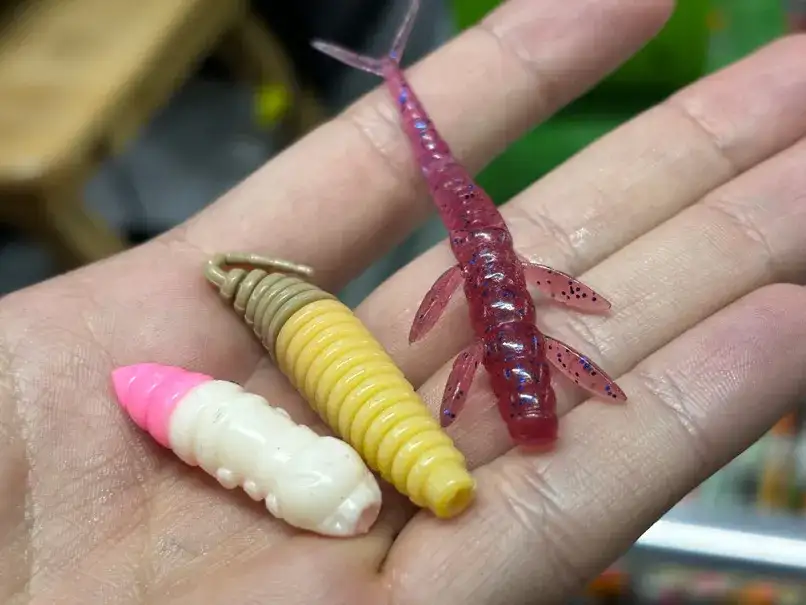 Skuteczna przynęta na klenia z gruntu, która nie spłoszy ryb