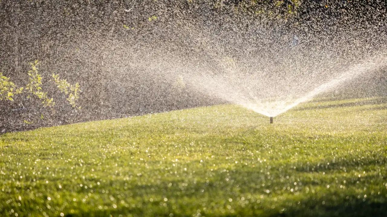 Zraszacz na trawniku w słoneczny dzień, tworzący mgiełkę wodną.