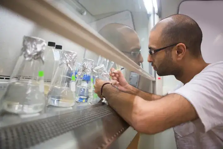 Biotechnologia medyczna: Gdzie pracować i ile zarobić po studiach?