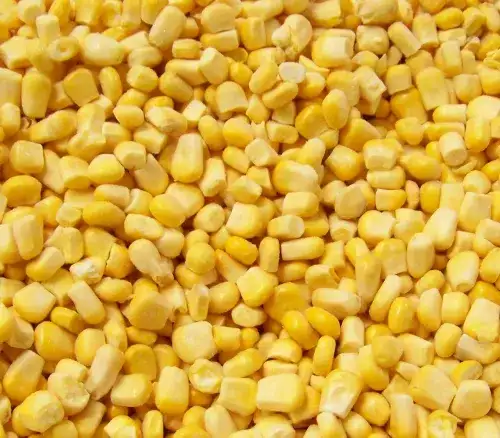 Gdzie kupić mrożoną kukurydzę? Sprawdź najlepsze oferty i ceny