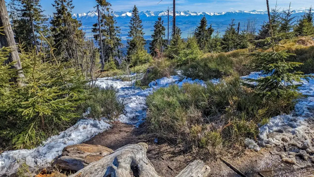 Turbacz: Serce Gorców. Poznaj najwyższy szczyt i szlaki Beskidów!