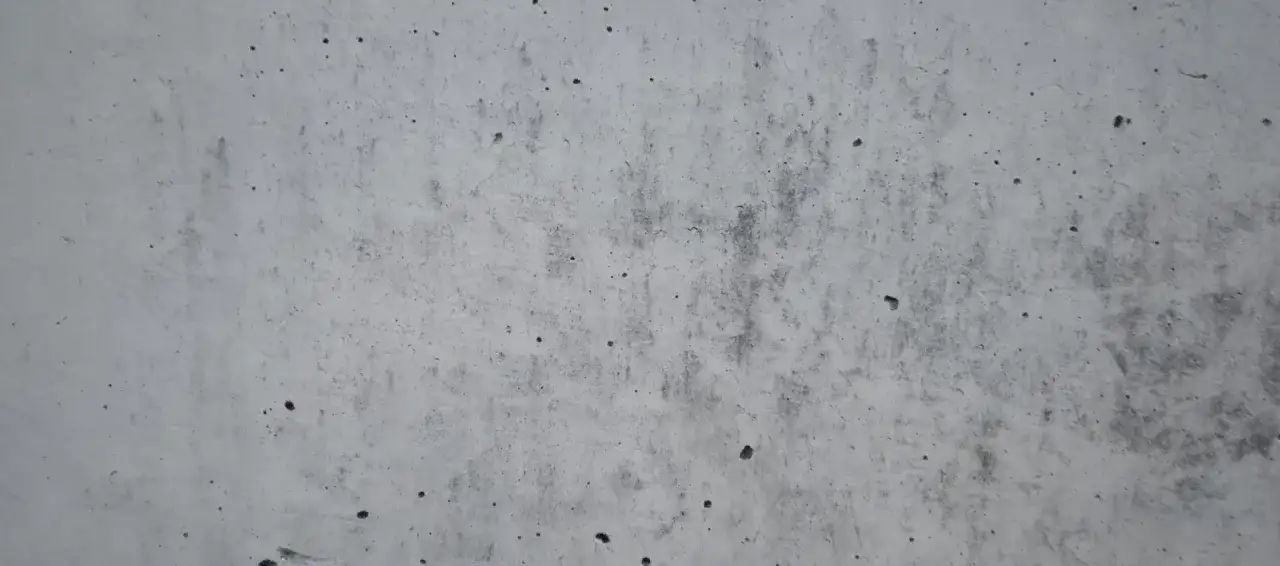 Szary, chropowaty podjazd z betonu szczotkowanego, z widocznymi drobnymi wżerami i zaciekami.