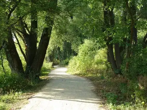 Gdzie biegać w Warszawie? Odkryj najlepsze trasy i miejsca do biegania