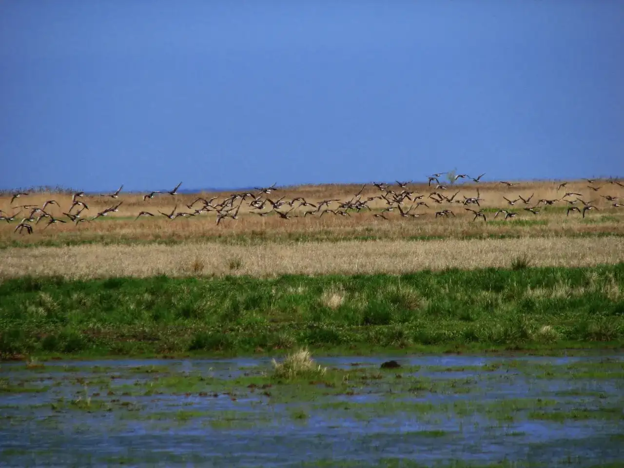 Rezerwat Przyrody Beka - odkryj piękno natury i bioróżnorodność