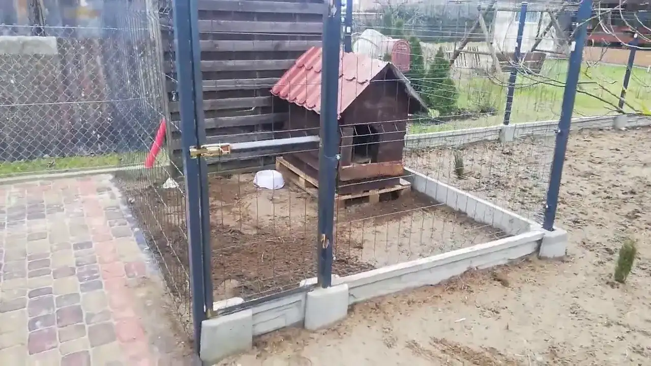 Kojec dla psa DIY: Zbuduj tanio i solidnie krok po kroku!