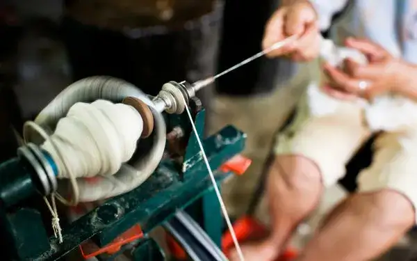 Hodowla jedwabników jak zacząć: kluczowe kroki i wyzwania