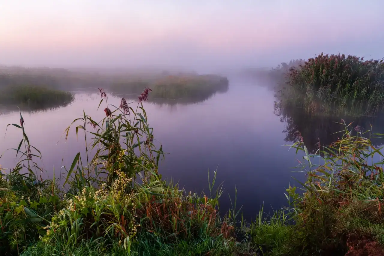 Narew: Miasta, historia i sekrety Polskiej Amazonii