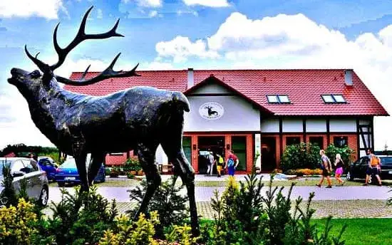 Milicz gdzie zjeść - odkryj najlepsze restauracje i smaki regionu