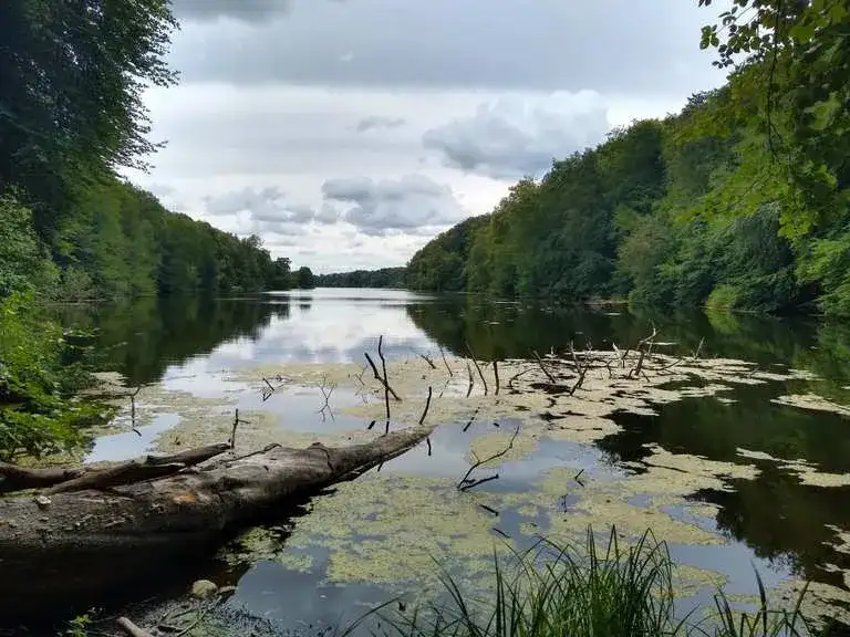 Jezioro Wieleńskie: ukryte skarby natury i najlepsze atrakcje