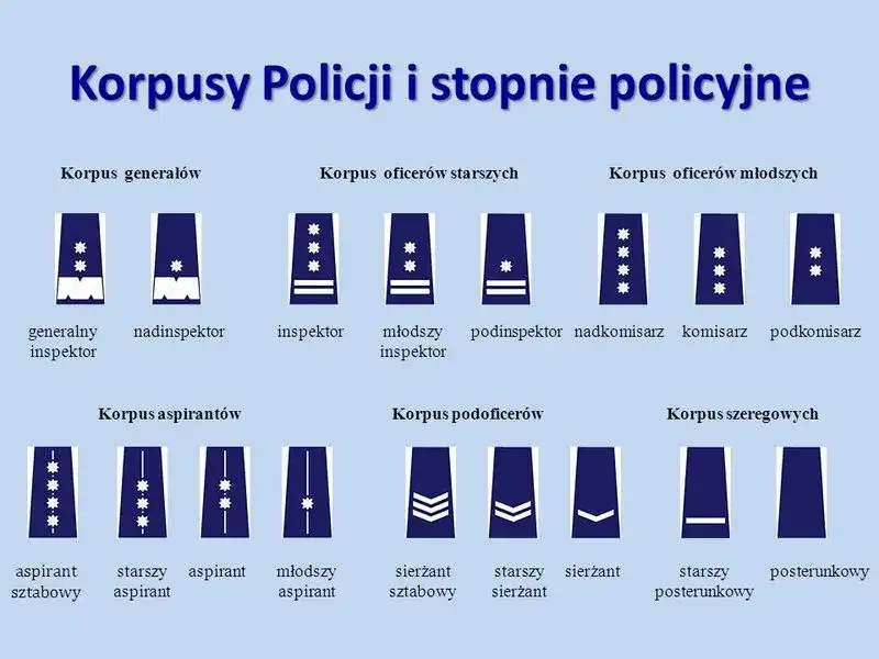 Stopnie w polskiej policji: Jak wygląda hierarchia? Pełna lista