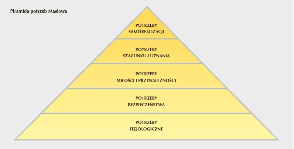 Jakie mogą być potrzeby edukacyjne dziecka i jak je zaspokoić