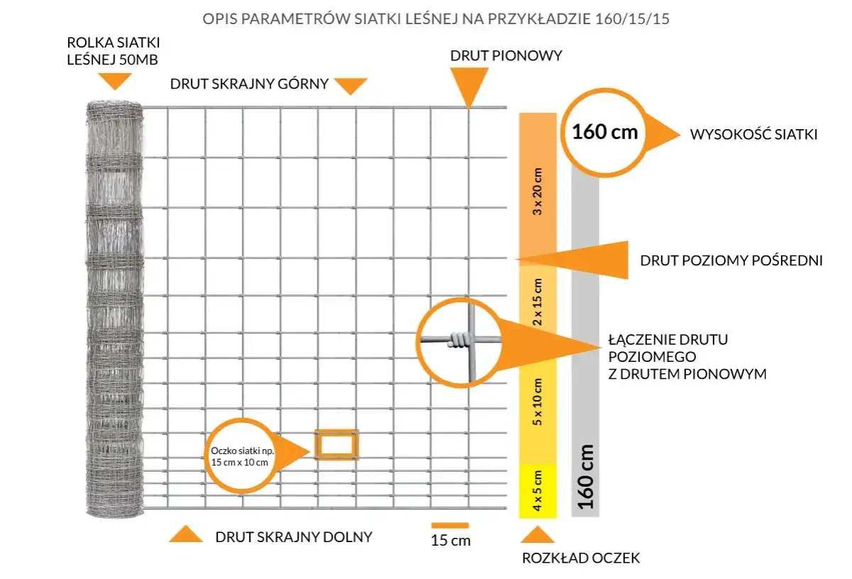 Płot na sarny: Jaka wysokość zapewni 100% ochronę ogrodu?