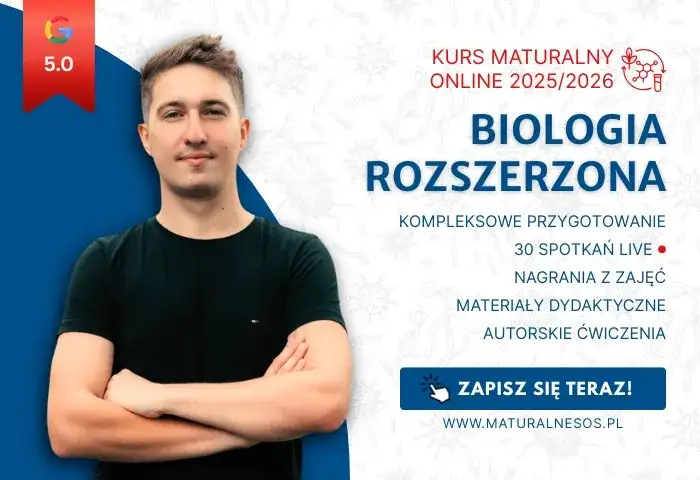 Ile godzin biologii rozszerzonej w liceum? Sprawdź, co musisz wiedzieć