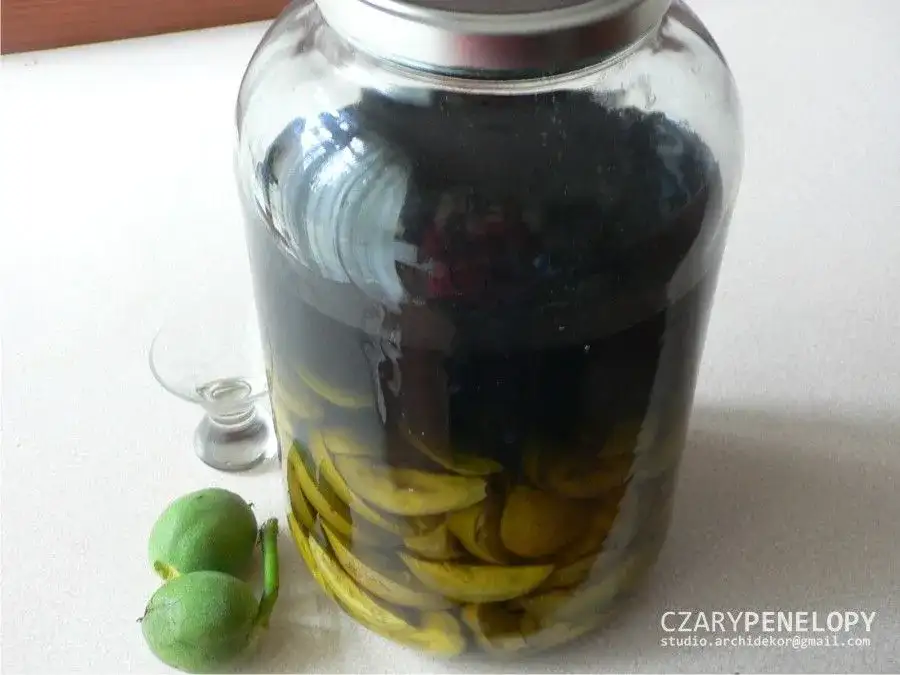 Kiedy zbierać zielone orzechy na nalewkę? Idealny termin