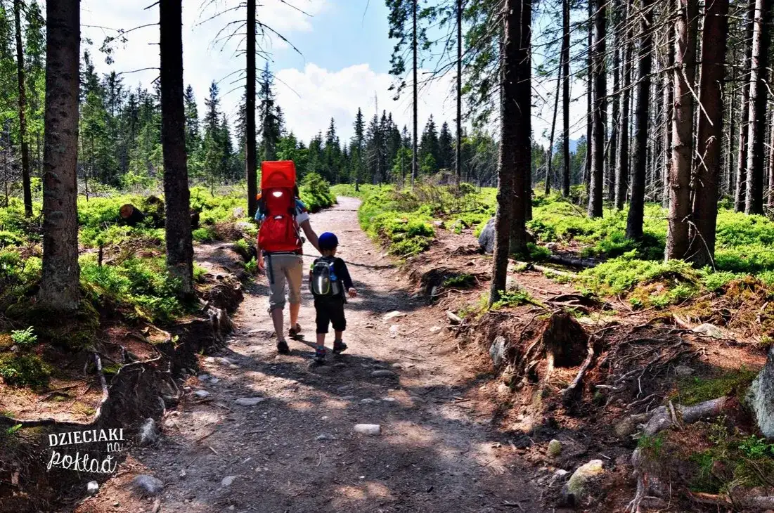 Tatry z dzieckiem: Sprawdzone szlaki dla rodzin, od wózka po starszaka