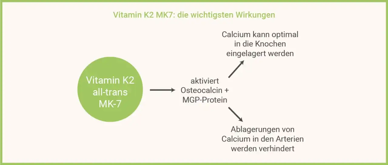 Die überraschenden Vorteile von K2MK7 Vitamin für Ihre Gesundheit