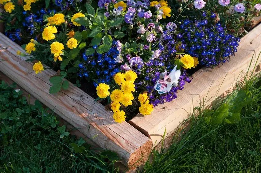 Jak zrobić doniczkę z drewna - proste kroki do pięknej dekoracji