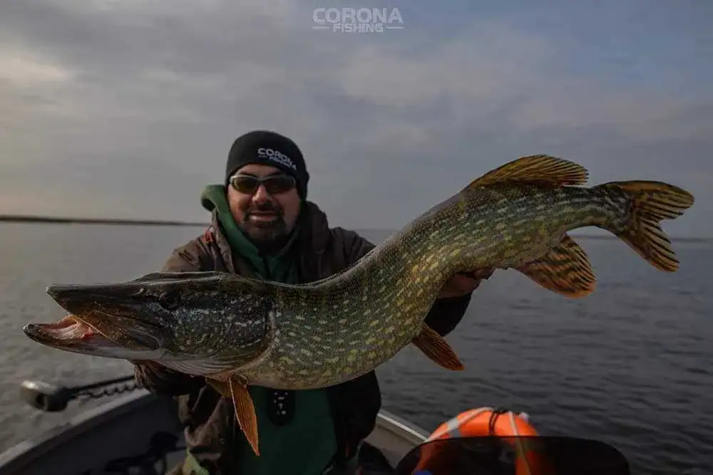 Gdzie łowić na spinning? Najlepsze łowiska i gatunki w Polsce