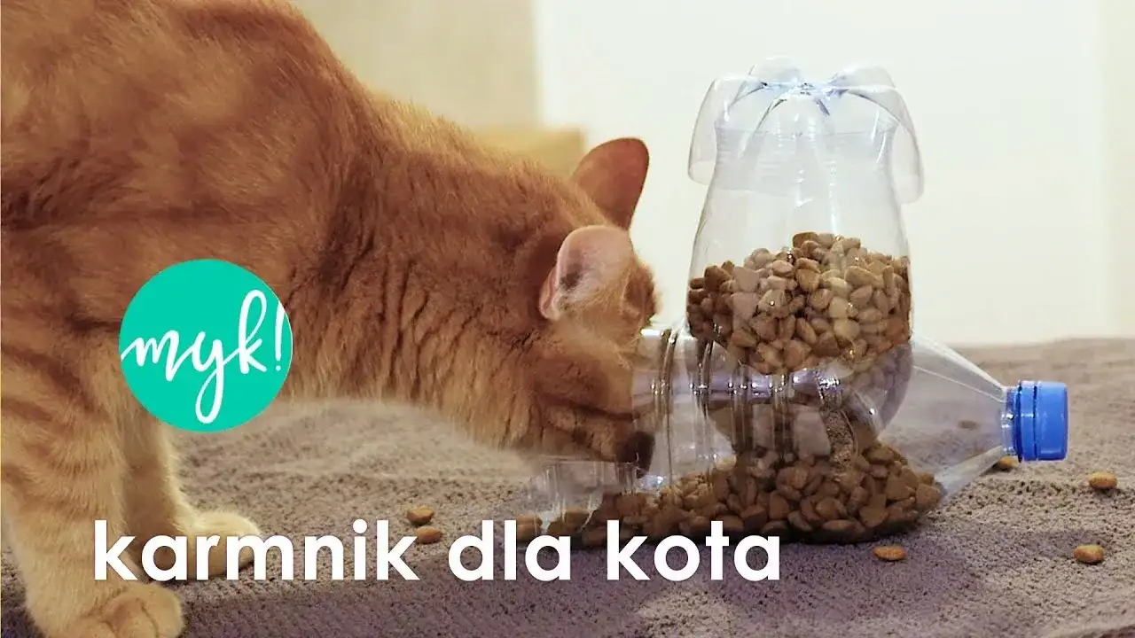 Dozownik karmy dla psa DIY: Zrób to sam, bezpiecznie i tanio!