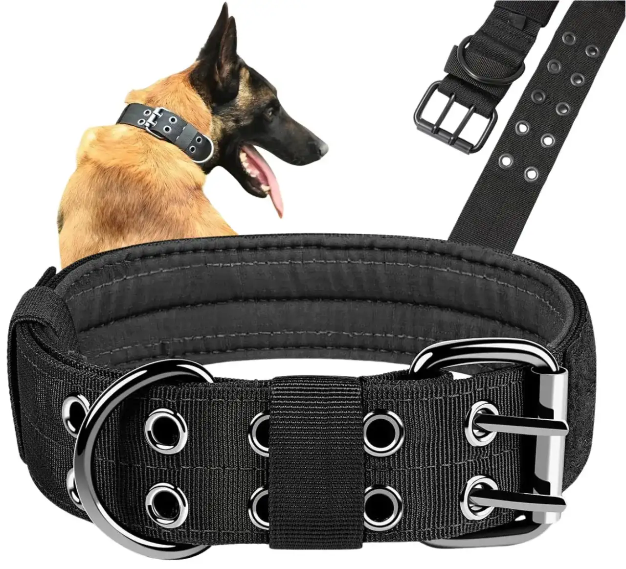 Najlepsza obroża dla amstaffa: wybierz wygodny i trwały model