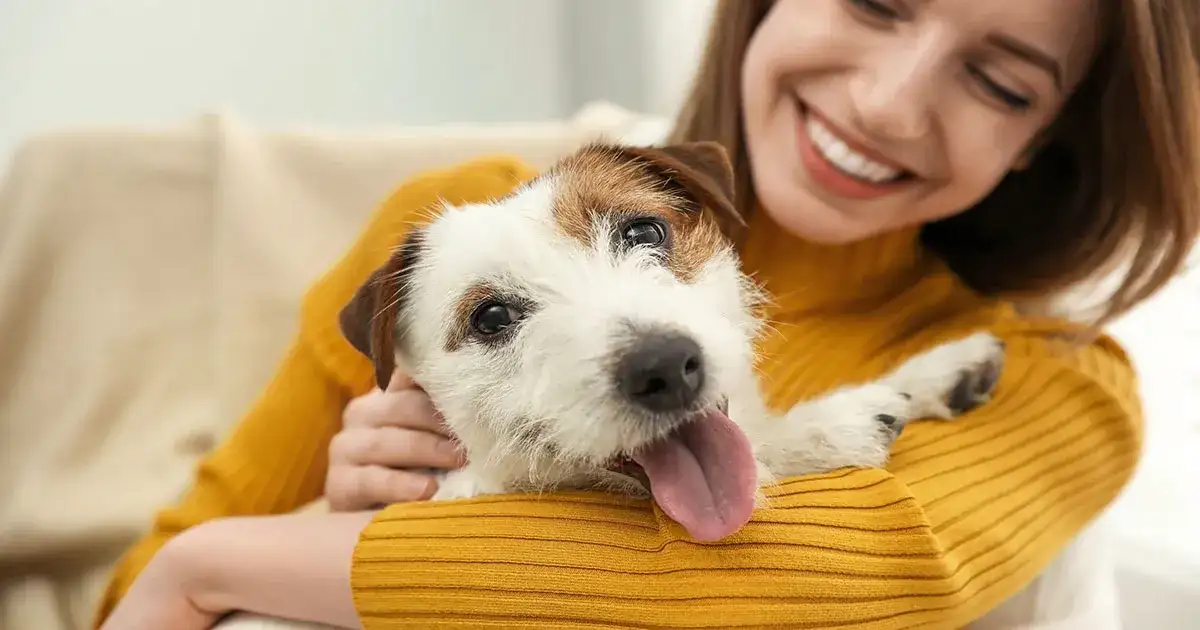 Jaki pies dla dzieci? Wybierz idealnego przyjaciela dla rodziny!