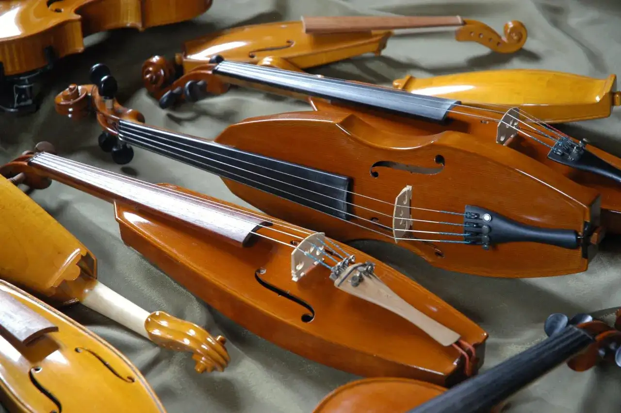 Jak się nazywają góralskie skrzypce? Poznaj historię gęśli z Podhala