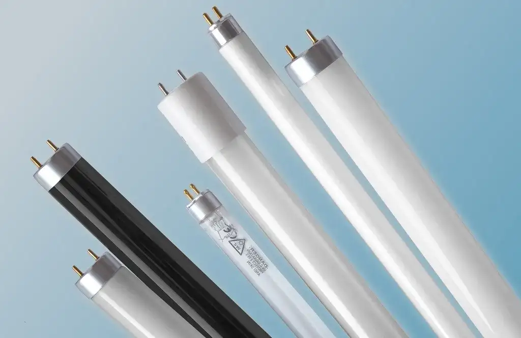 Jaką świetlówkę do akwarium wybrać dla zdrowych ryb i roślin?