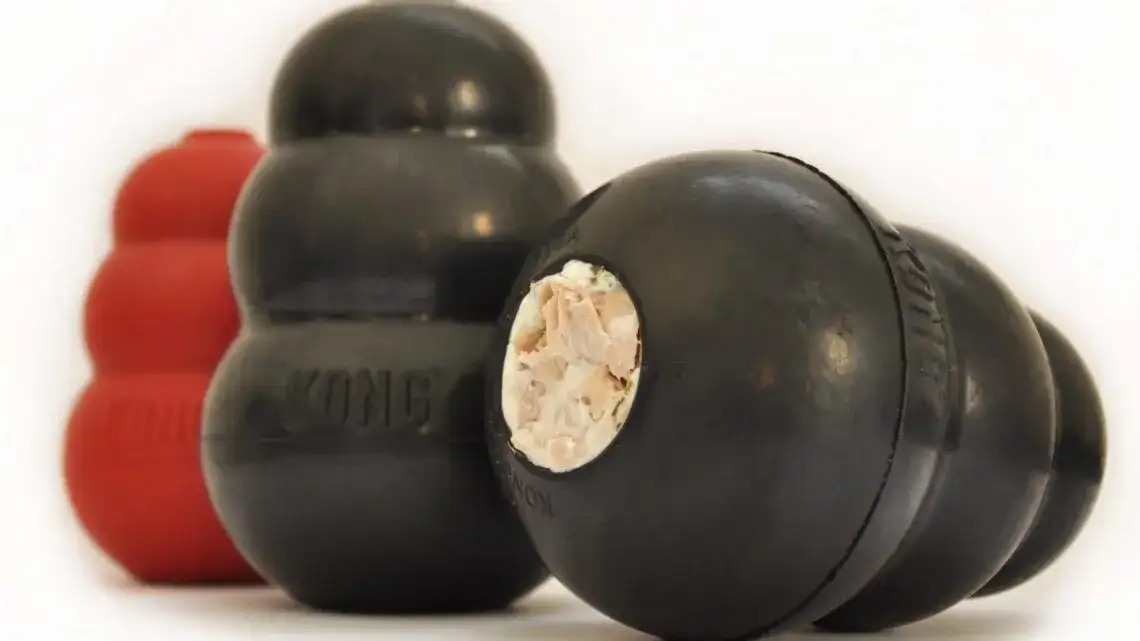 Jak używać kong zabawka dla psa, aby uspokoić i zaangażować pupila