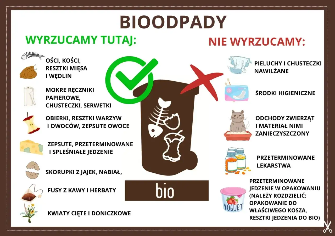 Gdzie wyrzucać mięso i kości? Do bio! Obierki, resztki warzyw, owoców, fusy z kawy i herbaty, skorupki jajek, kwiaty. Nie: pieluchy, środki higieniczne, odchody zwierząt, leki.