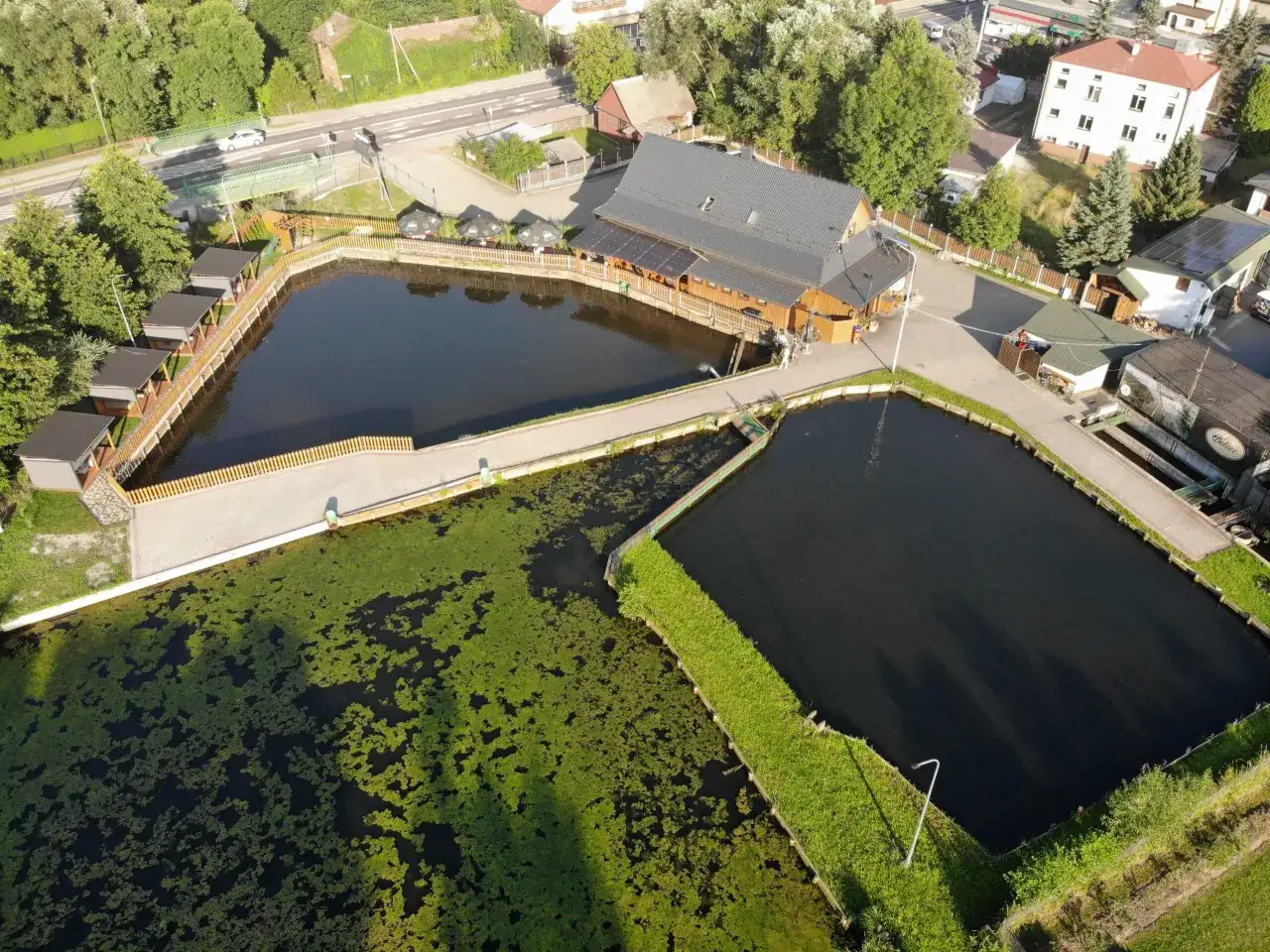 Najlepsze miejsca, gdzie zjeść w Zwierzyńcu – odkryj lokalne smaki