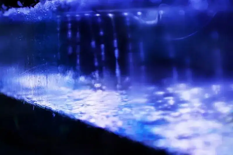 Czy deszczownica w akwarium to dobre rozwiązanie? Zalety i wady stosowania deszczownicy w akwarium