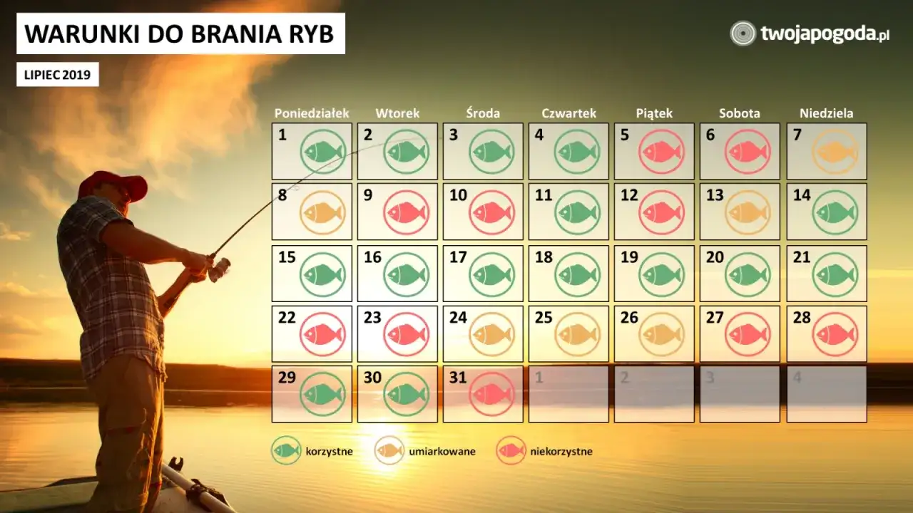 Pogoda na ryby: Jak czytać prognozy i łowić więcej?