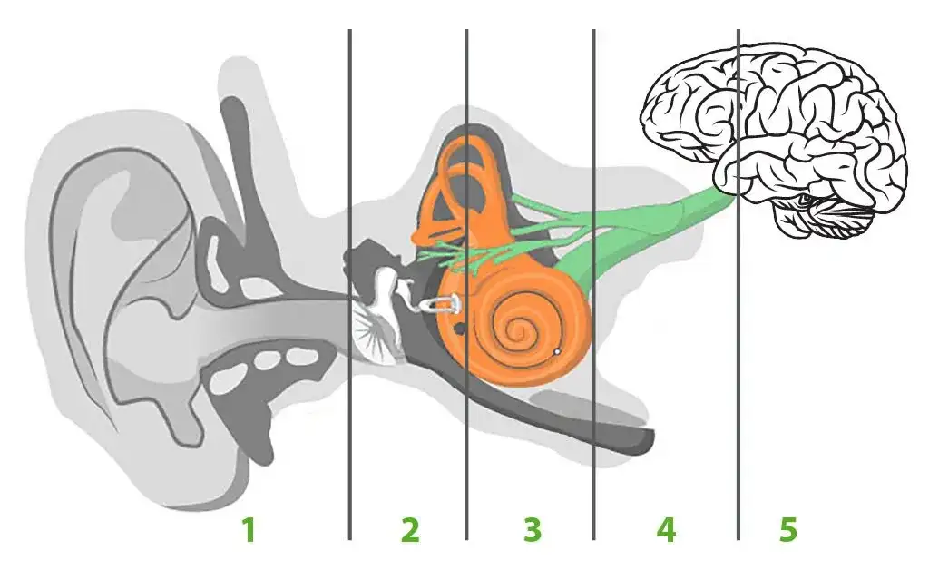 Czemu szumi w uszach? Poznaj przyczyny i skutki tego problemu