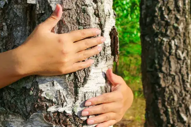  Przytul się do drzewa i poczuj jego energię – przytulanie drzew poprawia samopoczucie