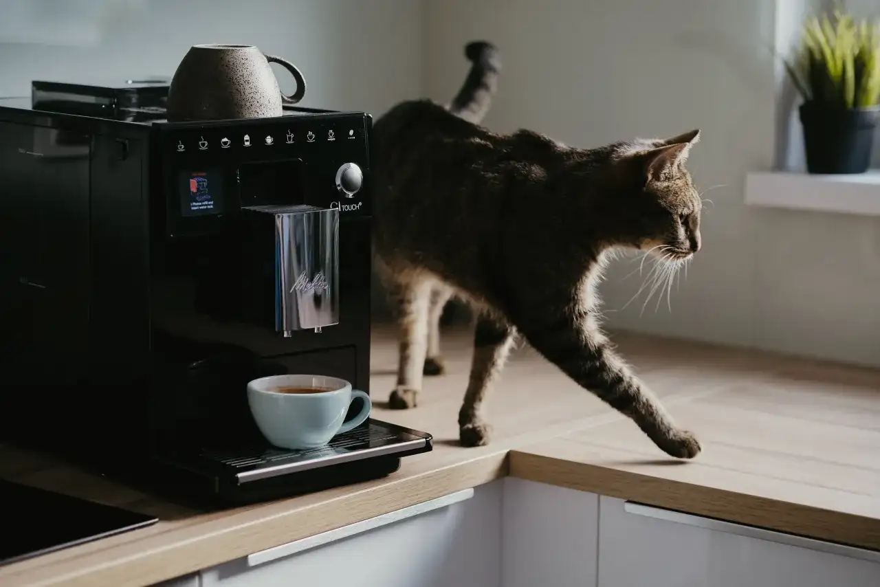 Ekspres do kawy: Ukryty koszt? Ile prądu zużywa i jak oszczędzać?