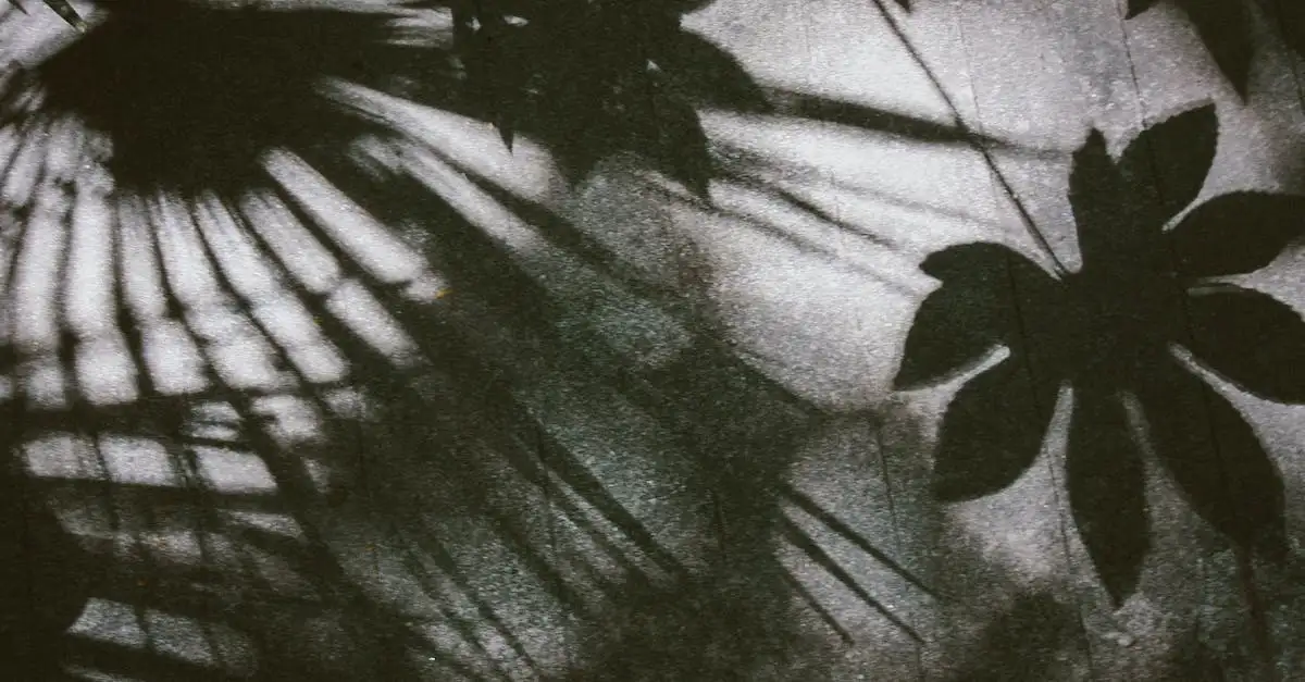  Liście leszczyny - właściwości i zastosowanie. Prosta receptura na herbatkę