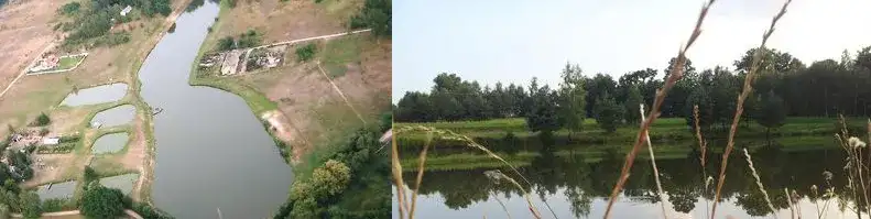 Łowisko Musuły – idealne miejsce na wędkowanie wśród natury