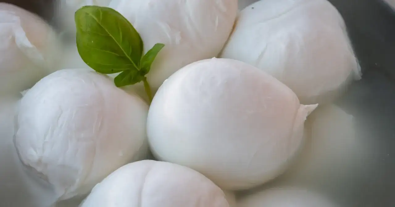 Kulki mozzarelli w wodzie, jedna z listkiem bazylii. Czy ser mozzarella jest tłusty? Zależy od rodzaju, ale ten wygląda apetycznie.
