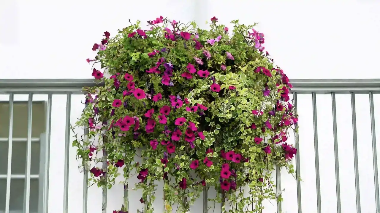 Jakie kwiaty do kwietnika: wybierz idealne rośliny na każdą porę roku