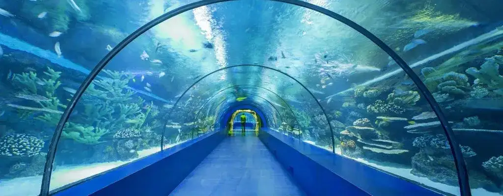 Oceanarium Antalya - Niezapomniane atrakcje i wskazówki dla odwiedzających