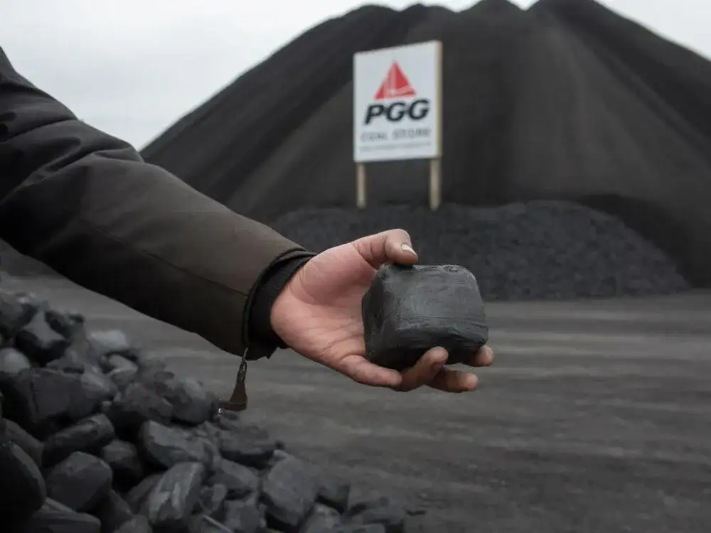 Ekogroszek PGG: Jak kupić krok po kroku? [Poradnik]