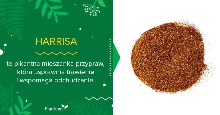 Jak zrobić przyprawę harissa – prosty przepis na wyjątkowy smak