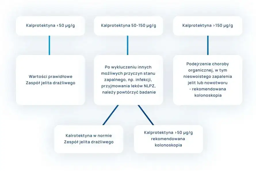 Wysoka kalprotektyna w kale: Co to oznacza dla twojego zdrowia?